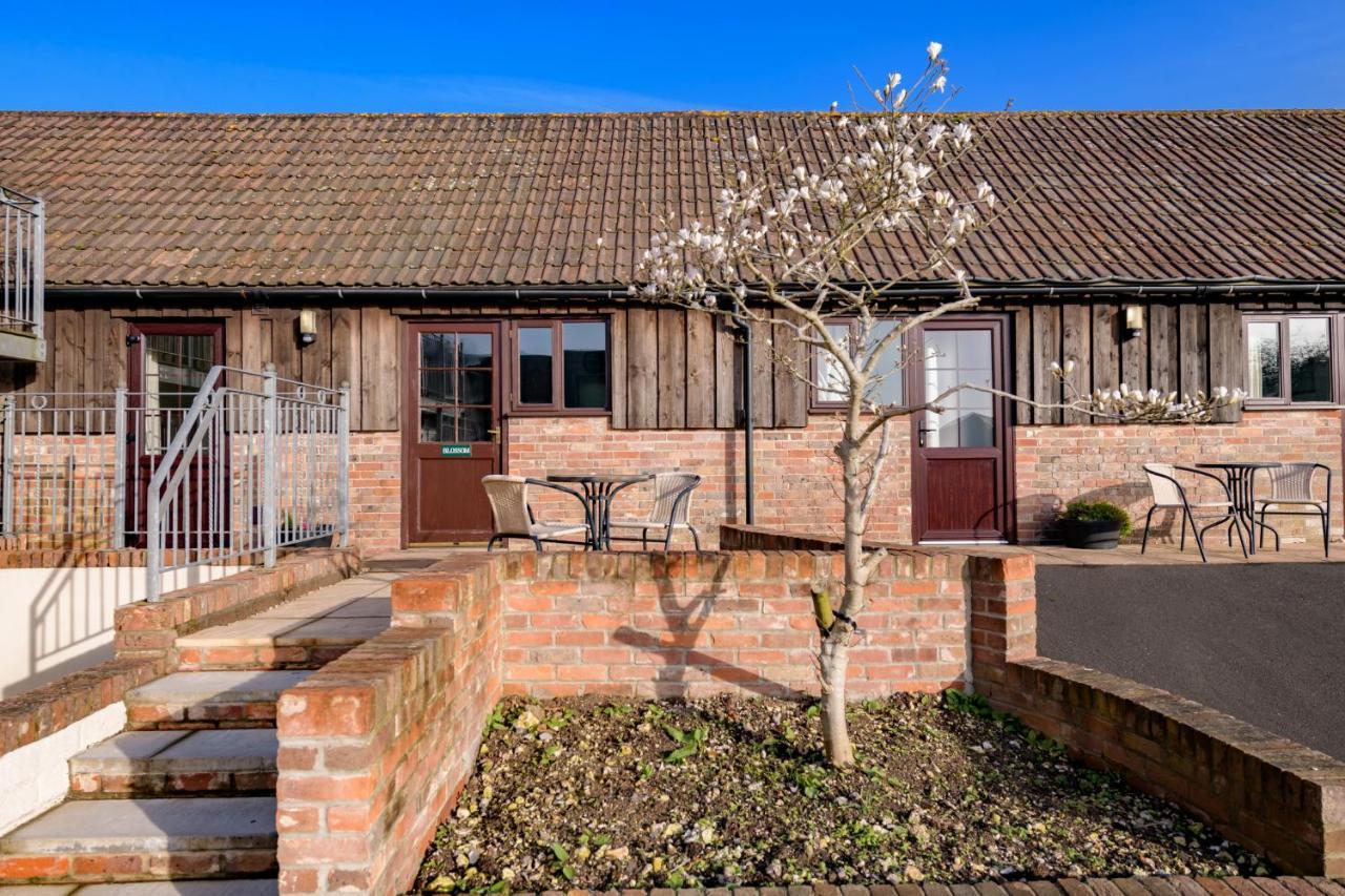 Luccombe Farm Holiday Cottages Milton Abbas Exterior foto