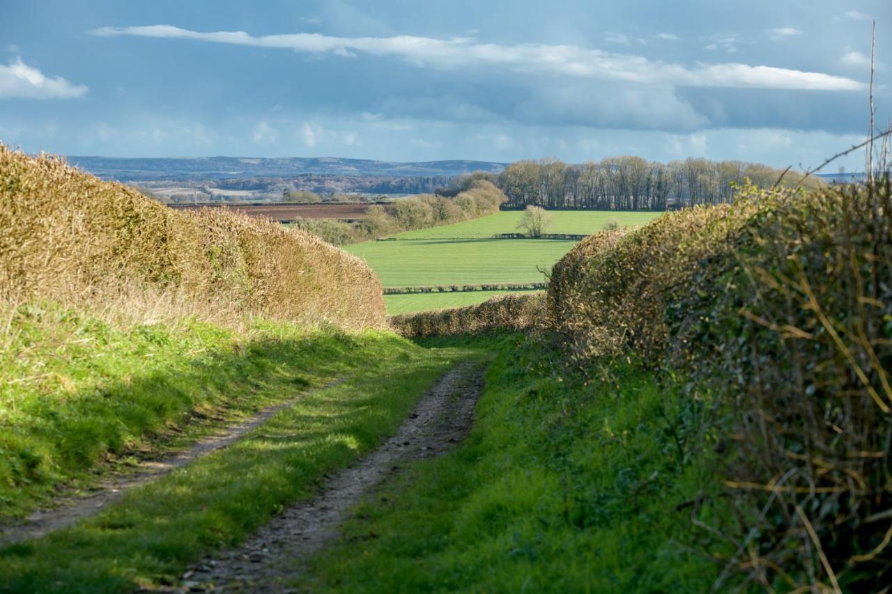 Luccombe Farm Holiday Cottages Milton Abbas Exterior foto